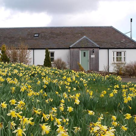 Dalnoid Cottages & Treehouses Nr Glenshee Kültér fotó