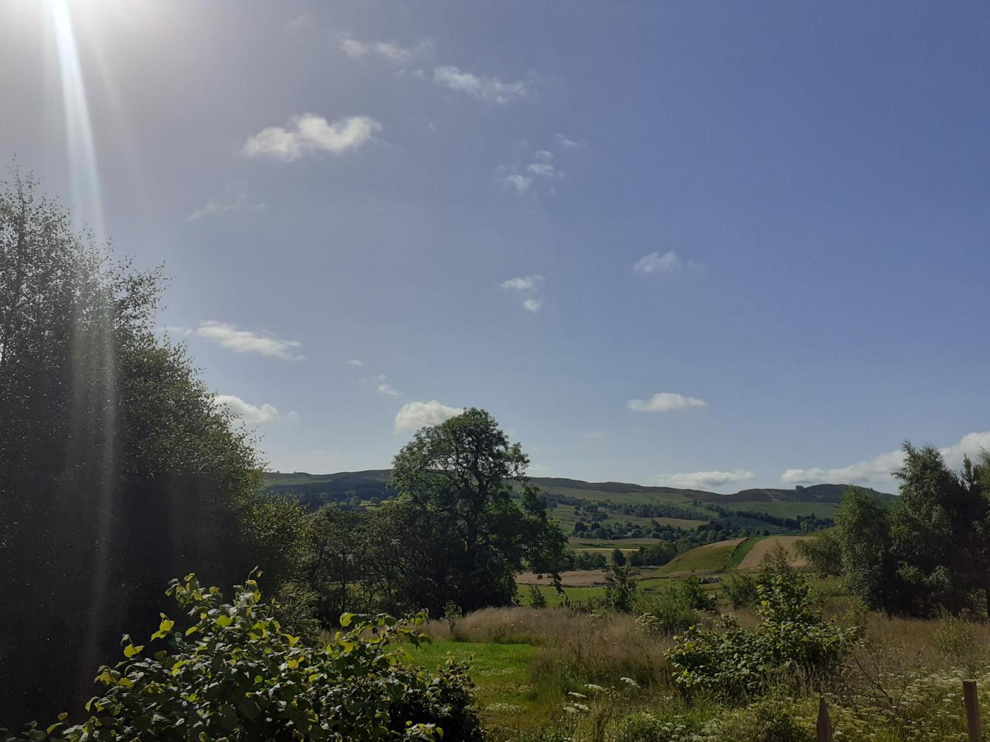 Dalnoid Cottages & Treehouses Nr Glenshee Kültér fotó