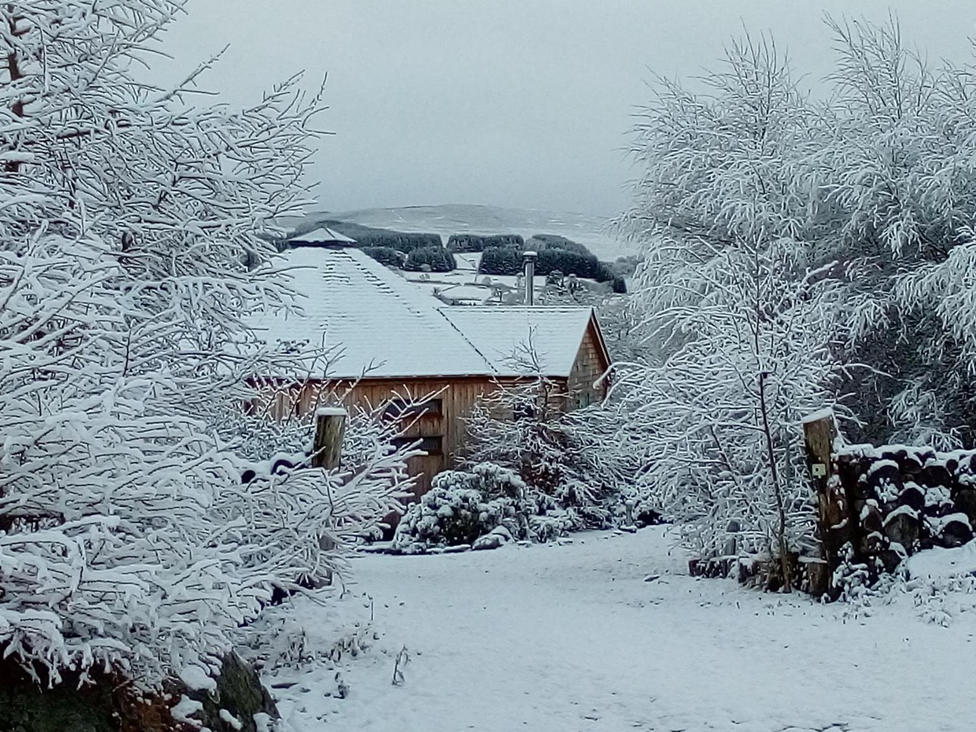 Dalnoid Cottages & Treehouses Nr Glenshee Kültér fotó